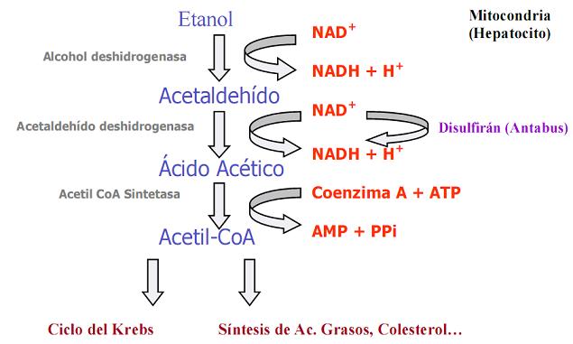 grafica_207_2.jpg grafica_207_2.jpg